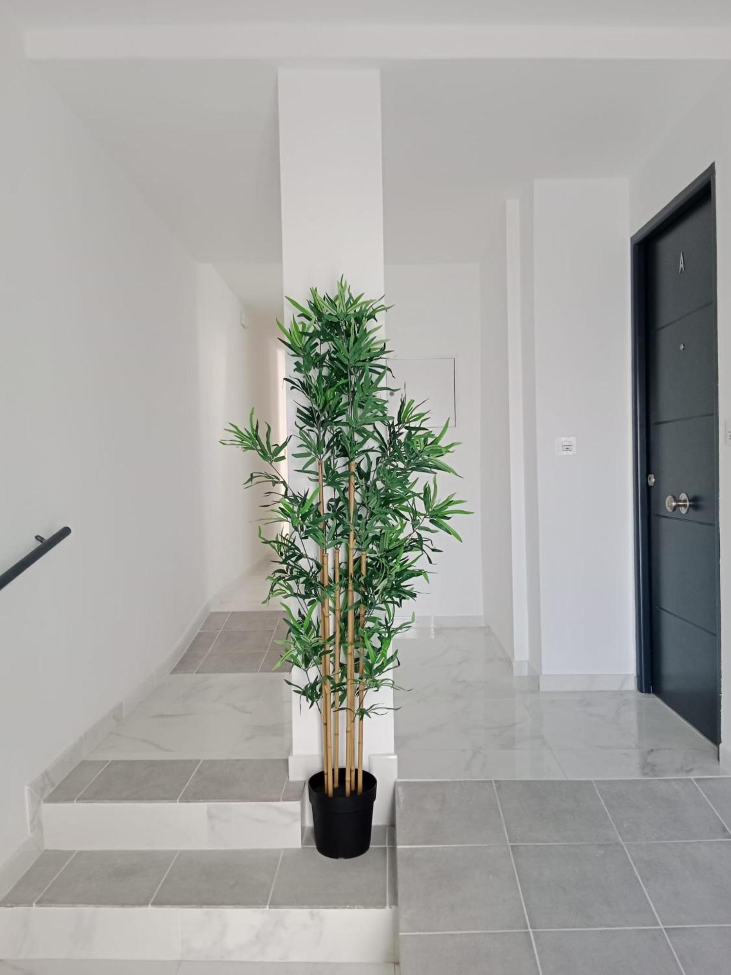 Apartamento Gloria Bendita Jerez de la Frontera Exterior foto